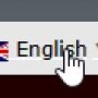 choose-lang-gtranslate.jpg
